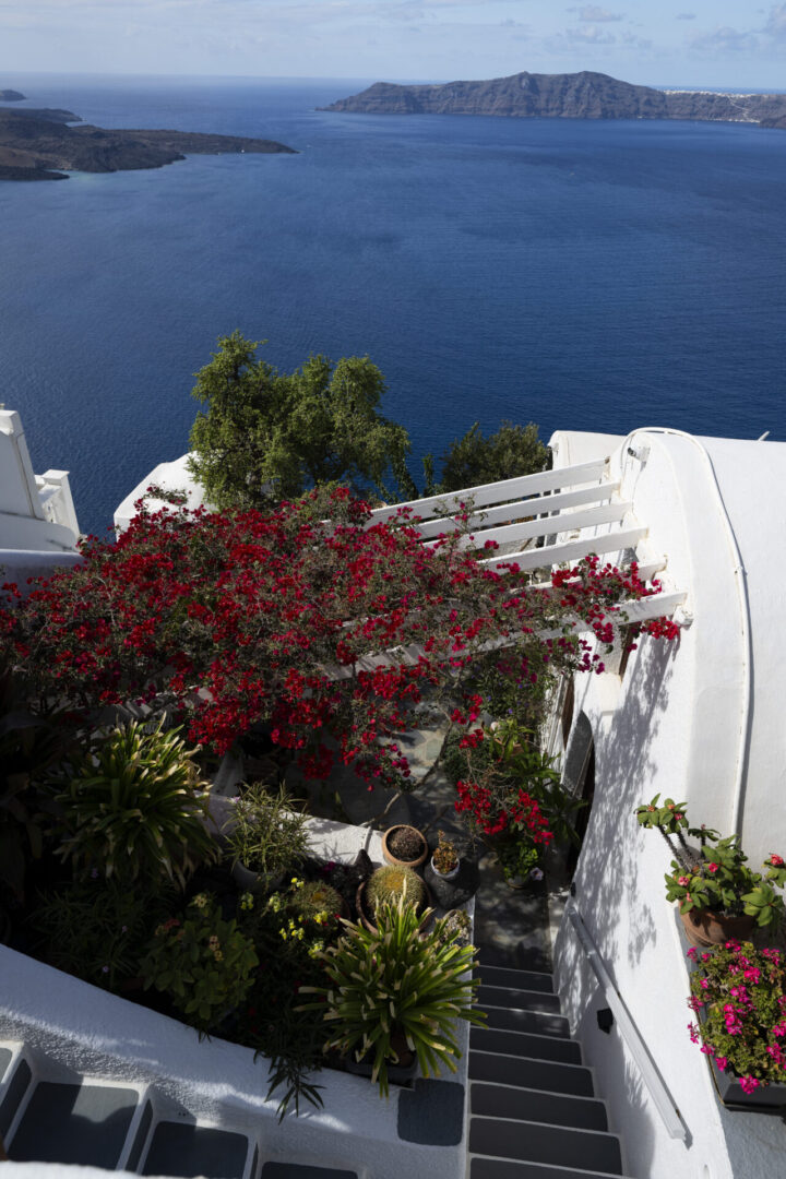 White terrace with red bougainvillea overlooking sea